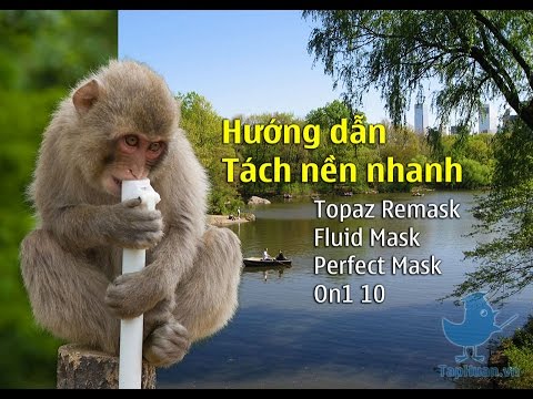 fluid mask vs topaz remask fluid mask vs topaz remask