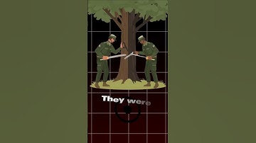 The Tree That Almost Started a War!