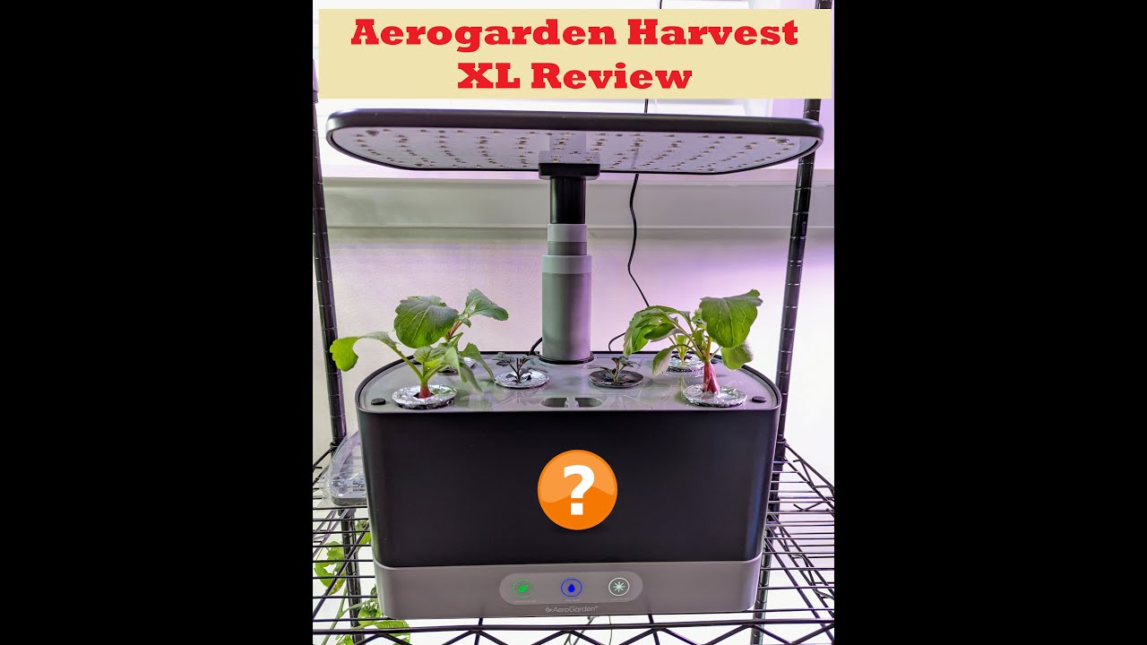 Aerogarden Harvest XL Hydroponics Review (Harvest vs Harvest XL) YouTube