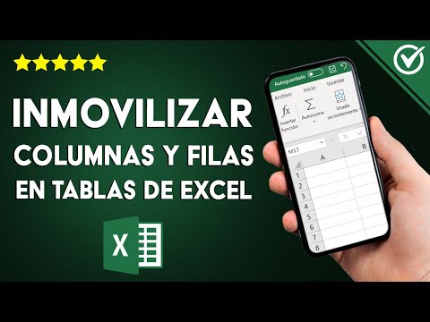 ¿Cómo inmovilizar las columnas y filas en tus tablas de EXCEL? - Configuración