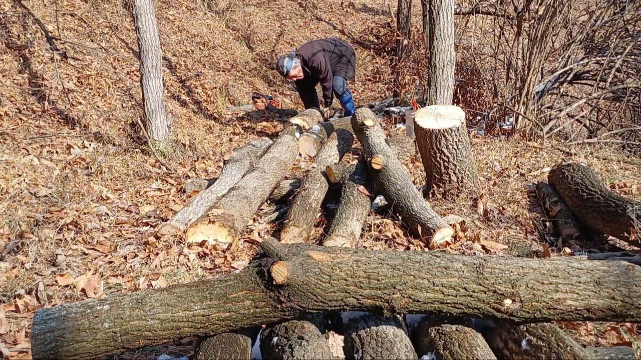 80세 청년의 버섯 농사 도전기 #1 - 