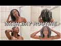 I haven't washed my hair in over A MONTH | Wash Day Routine | Keke J.
