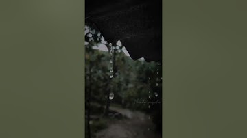 Cuộc Tình Trong Cơn Mưa – Đại Bổn《雨中的恋人们》- 大笨(MP3_320K)