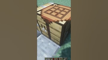 HOW TO Double Block Swapper in Minecraft!!!