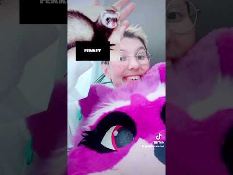 zee gets trolled
