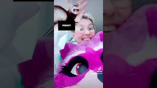 zee gets trolled by a fursona filter for 4 minutes straight #fursona #furrytiktok #tiktokfurry