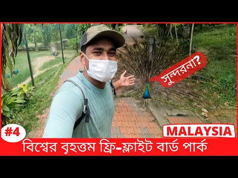 ভিডিও: কুয়ালালামপুরের সুন্দর কেএল বার্ড পার্কে যাওয়া