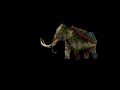 Free Footage: Psychedelic Mammoth