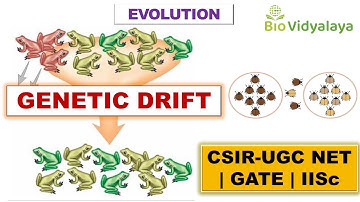 Genetic Drift | Mechanism of Evolution | CSIR NET Lifescience | GATE
