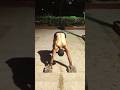 Desi gym fitness boy workout💪 #bodybuilding #workout #gym #motivation #fitness