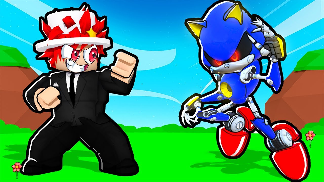 I DEFEATED METAL SONIC!