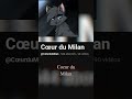 Pub pour @CœurduMilan #lgdc #abonnetoi