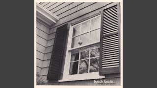 Video thumbnail of "Beach Fossils - What a Pleasure"