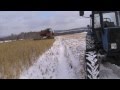 Уборка зерна по снегу 2014