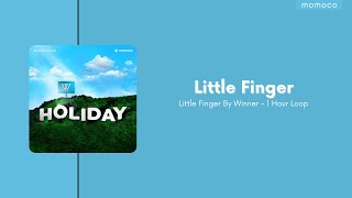 Winner (위너) - Little Finger (새끼손가락)(1 Hour Loop / 1시간)