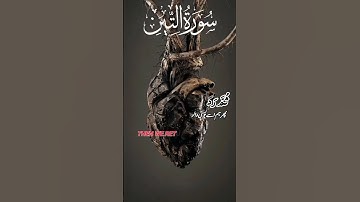Surat At-Tin (The Fig) I Mishary Rashid Alafasy I سورة التين I مشاري بن راشد العفاسي