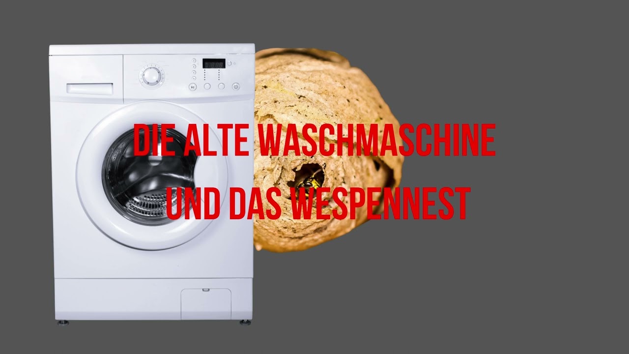 Die alte Waschmaschine und das Wespennest