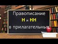 Русский язык. Правописание Н и НН в прилагательных. Видеороук