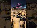وقوف مزدلفة Hajj 2025 حج 2025 Muzdalifah Muzdalifa Stay 