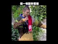 #信 一句話秒歪樓｜#聲林之王 #Shorts