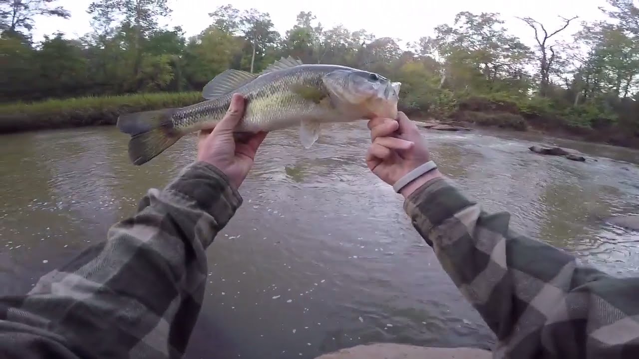 Fishing for Bass in Muddy Water