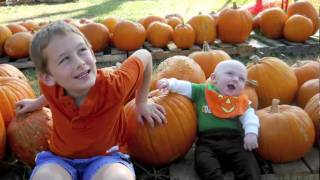 Pumpkin Patch 2010