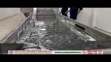 DÂY CHUYỀN RỬA NHO, XOÀI, THANH LONG, MÁY RỬA TRÁI CÂY CÁC LOẠI