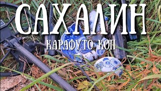 картинка: Сахалин - ищем новые места для Карафуто копа#сахалин #тревелвлог #природа #коп 