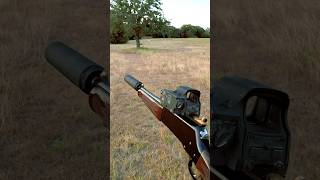 Short Barrel 308 Lever Gun