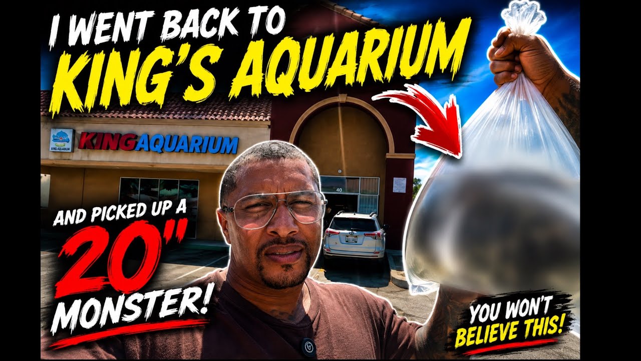 I WENT BACK TO KING’S AQUARIUM… AND BOUGHT A 20” MONSTER FISH!! 😳🐟