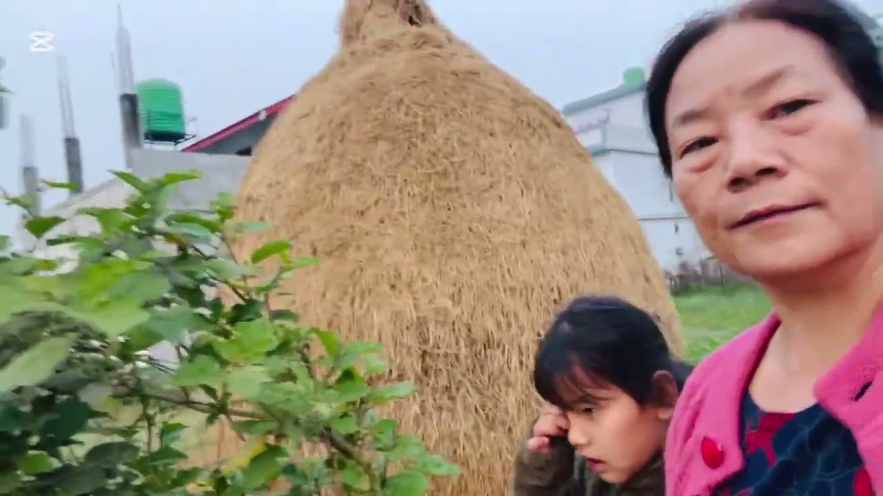 Nati sanga kura gardai !! #marcelin