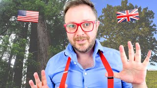 4 Ways British and American Trees Are Very Different