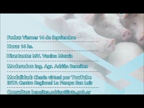 Vídeo: Las Lesiones De Oreja, Cola Y Piel Varían Según Los Diferentes Flujos De Producción En Una Granja Porcina De Parto
