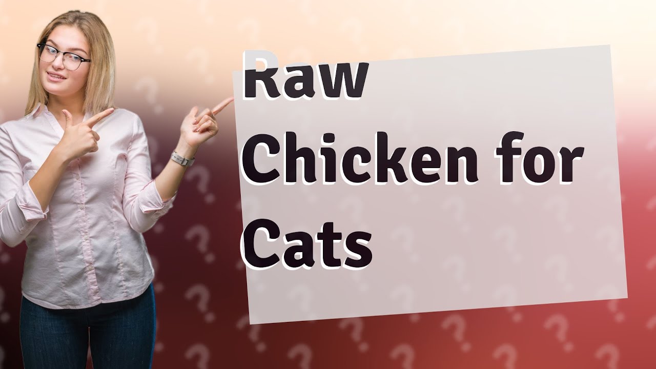 Can I Give My Cat Raw Chicken Breast YouTube can-i-give-my-cat-raw-chicken-breast-youtube
