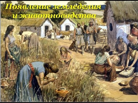 Появление земледелия и животноводства