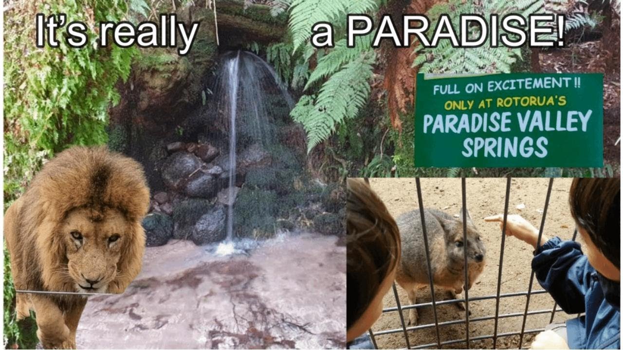 Paradise Valley Springs Wildlife Park in Rotorua, New Zealand! Must