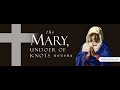 Day 2 - Mary, Undoer of Knots Novena | 2024