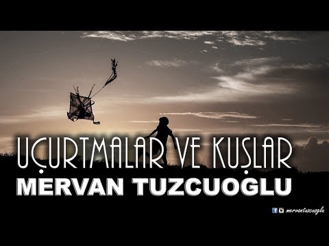 Mervan Tuzcuoğlu | Uçurtmalar ve Kuşlar