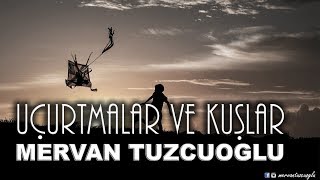 Mervan Tuzcuoğlu | Uçurtmalar ve Kuşlar