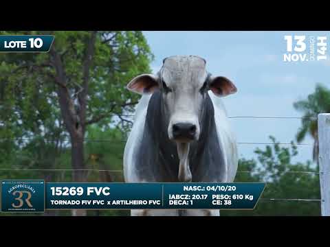 LOTE 10   FVC 15269