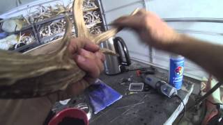 How To Restore Color To Deer Antlers CHEAP!