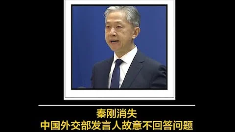 中国报道--金哲：秦刚消失，中国外交部发言人故意不回答问题，有何难言之隐？ - 天天要闻
