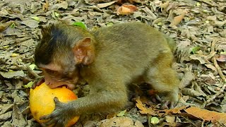 Good Luck Anissa, She Get A Big Mango Yummy Yummy