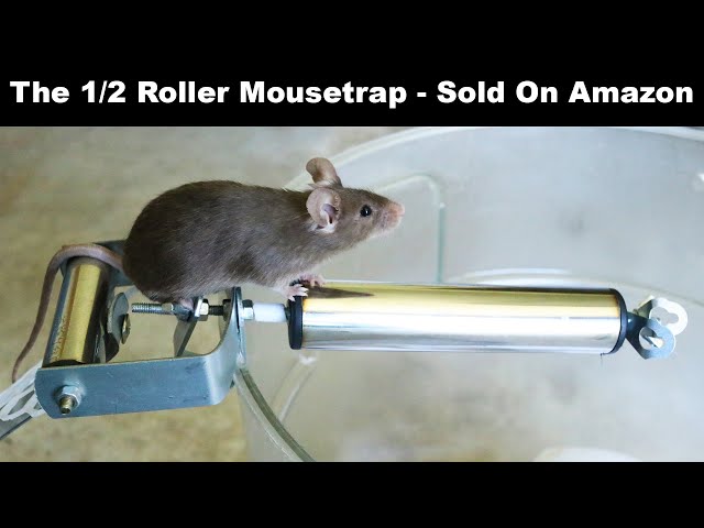 Automatic Rolling Mousetrap Roller Rat Mouse Traps Bucket Ramp