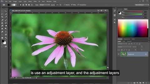 Adding Color to a Grayscale Image in Photoshop cc