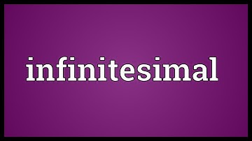 Infinitesimal Meaning