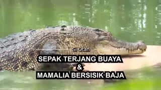 [FULL] Sepak Terjang Buaya Dan Mamalia Bersisik Baja | SI OTAN (26/10/21)