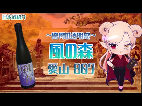 【日本酒】風の森 愛山807【お酒紹介】【Vtuber】