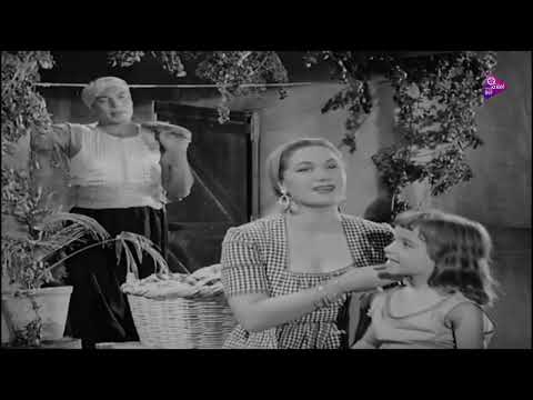 اغنيه عمرى ما شفت الحب