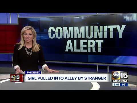 Student pulled into Phoenix alley